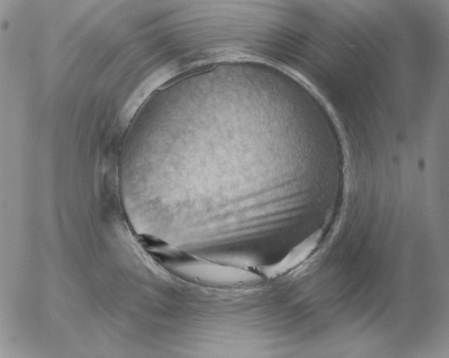 X0000053081289200508011956