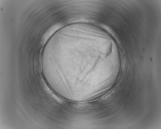 X0000053081290200508011956