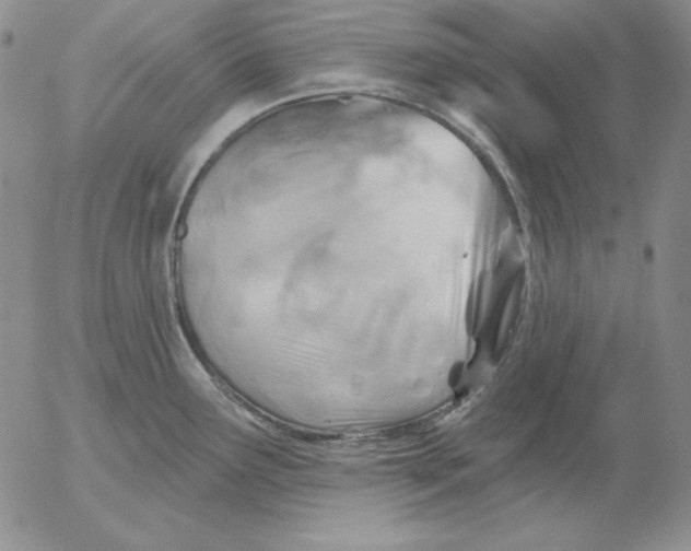 X0000053081291200508011956