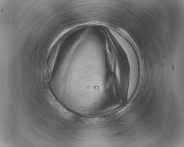 X0000053081292200508011956