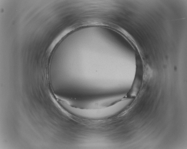 X0000053081293200508011956