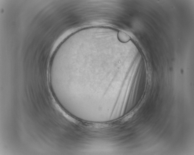 X0000053081294200508011956