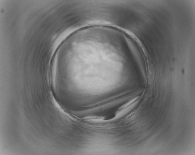 X0000053081295200508011956