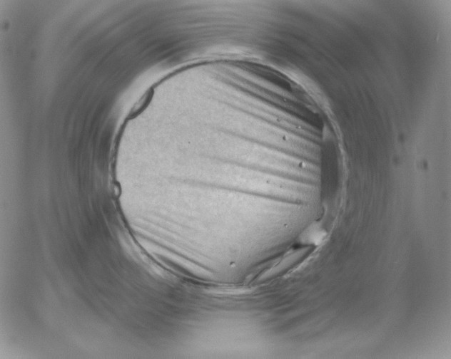 X0000053081296200508011956