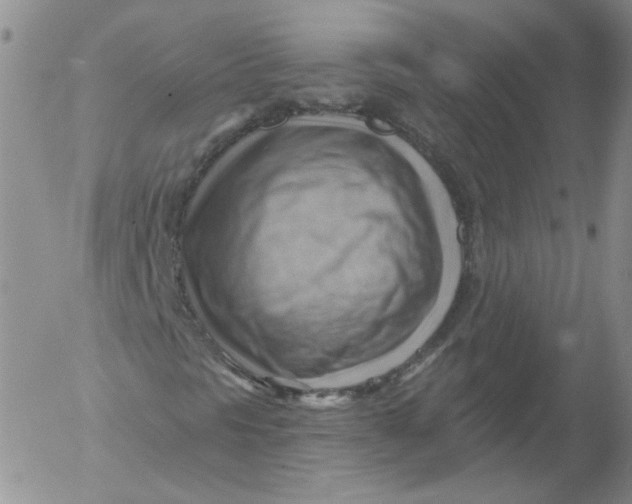 X0000053081297200508011955