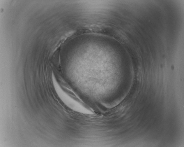 X0000053081298200508011955