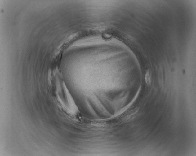 X0000053081299200508011955