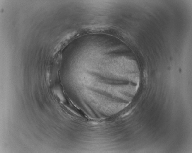 X0000053081300200508011955