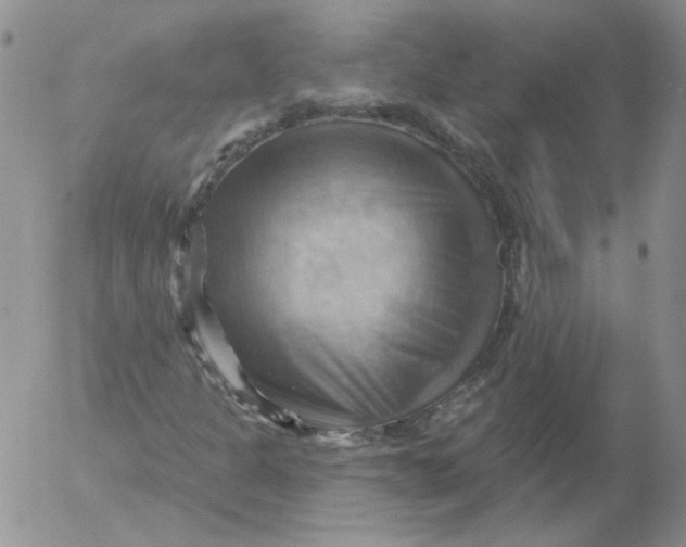 X0000053081301200508011955