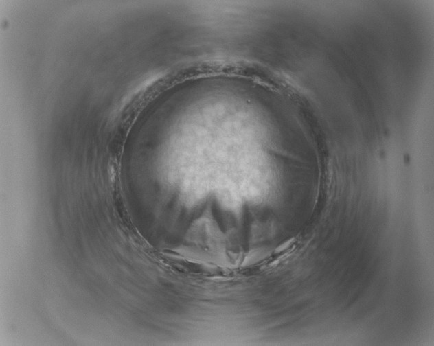 X0000053081302200508011955