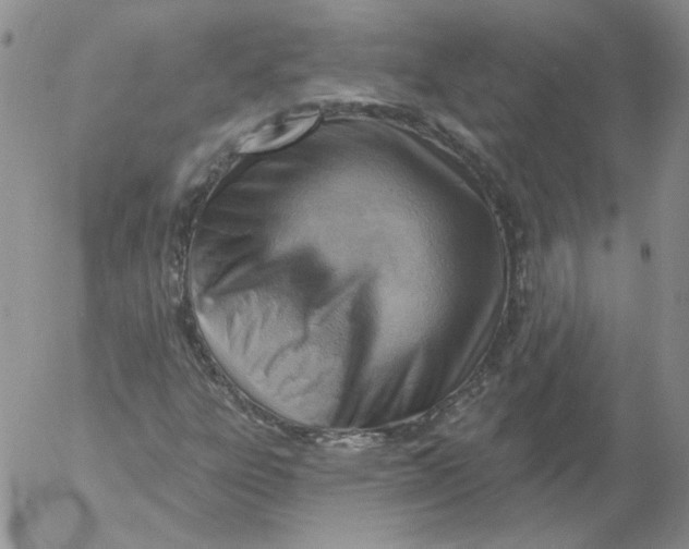 X0000053081303200508011955