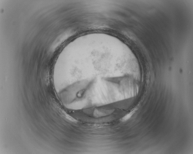 X0000053081306200508011955