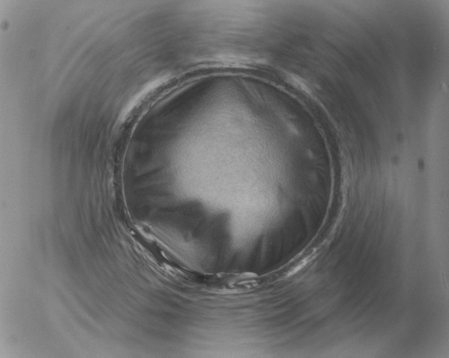 X0000053081307200508011955