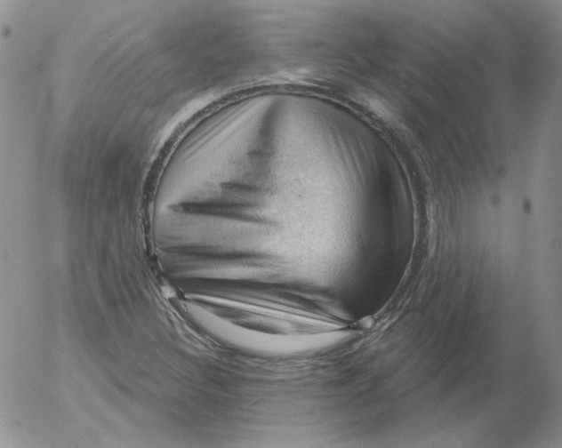 X0000053081308200508011955