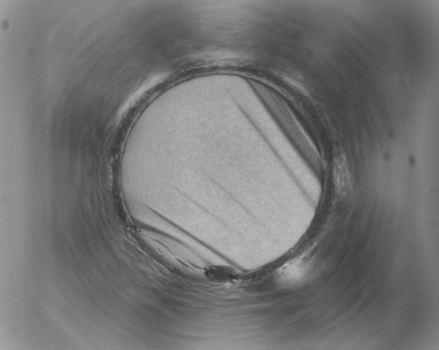 X0000053081309200508011956