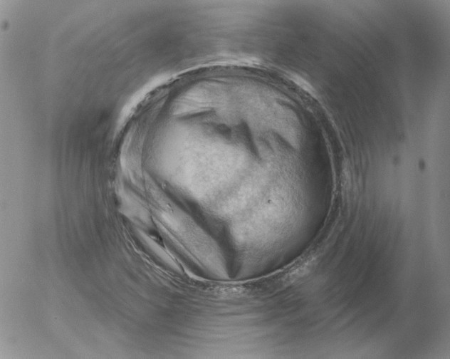 X0000053081310200508011956