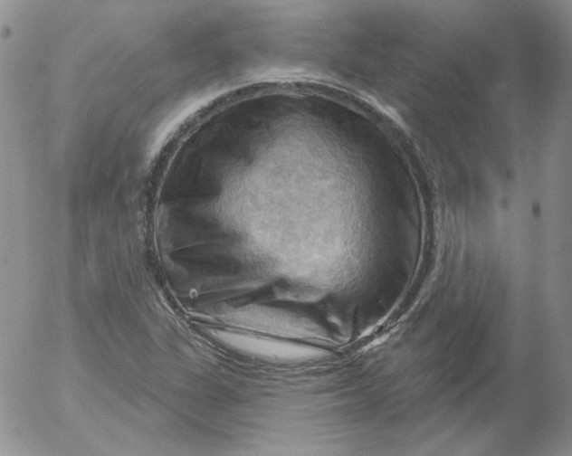 X0000053081311200508011956