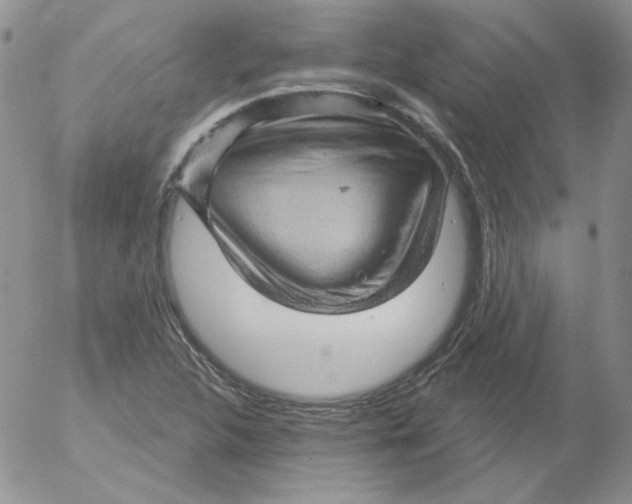 X0000053081312200508011956