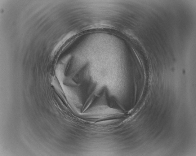 X0000053081313200508011956