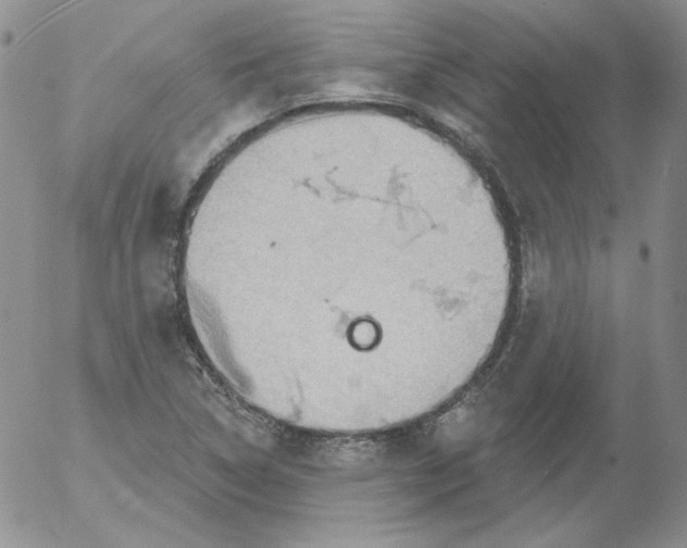 X0000053081314200508011956