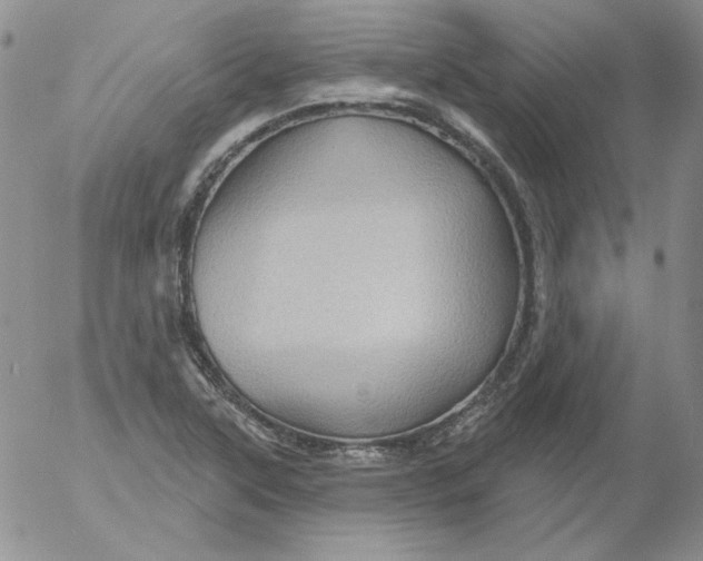 X0000053081315200508011956