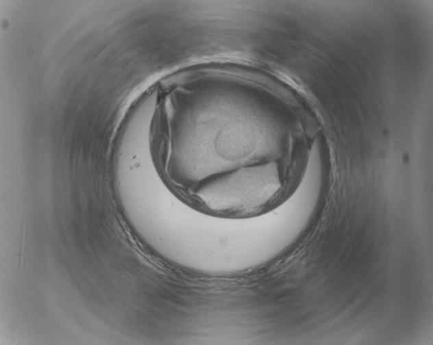 X0000053081316200508011956