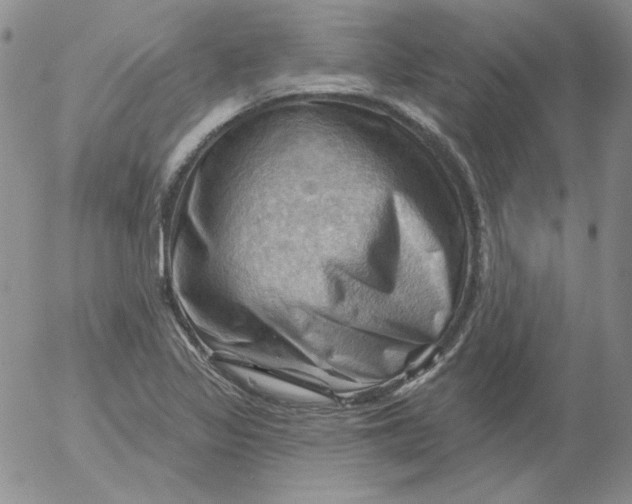 X0000053081317200508011956