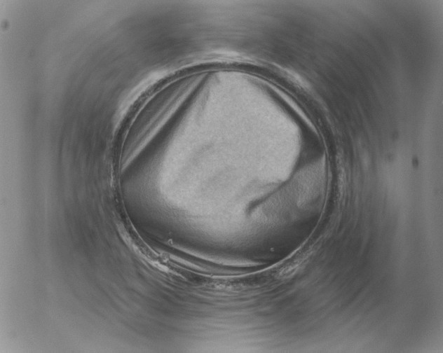 X0000053081318200508011956