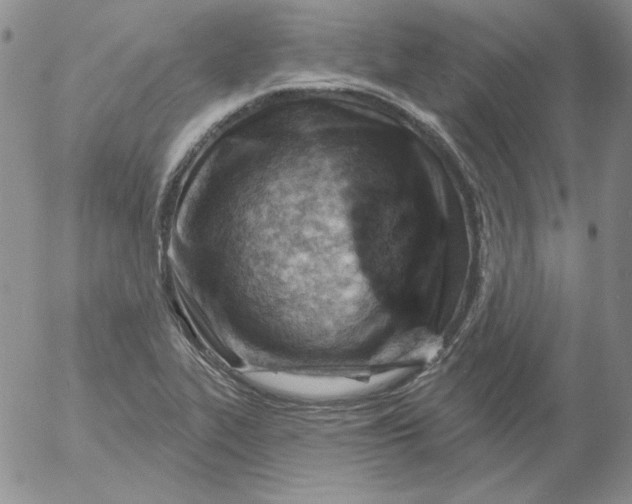 X0000053081319200508011956