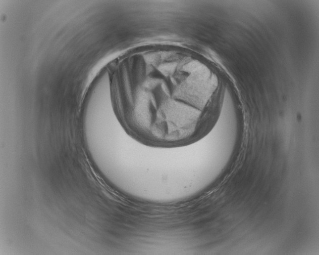 X0000053081320200508011956