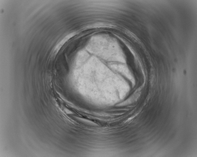 X0000053081321200508011956