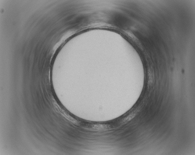 X0000053081322200508011956