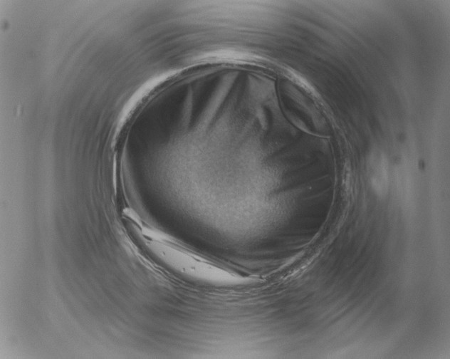 X0000053081323200508011956