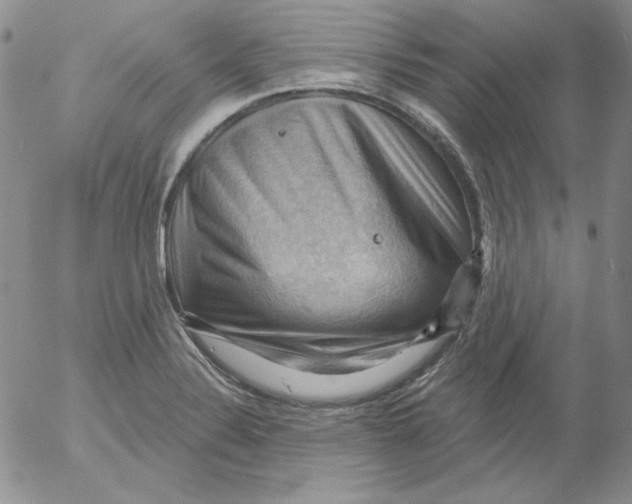 X0000053081324200508011956