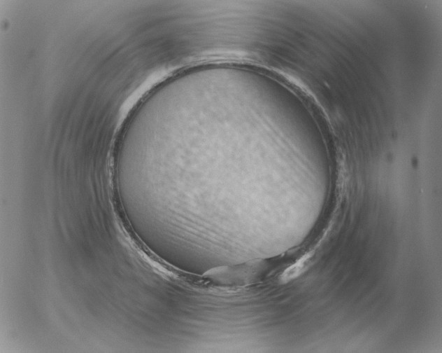 X0000053081325200508011956