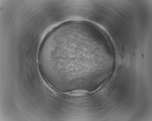 X0000053081327200508011956