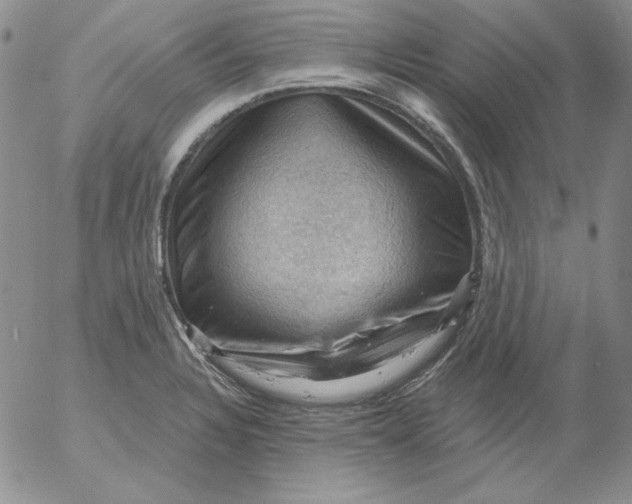 X0000053081328200508011956