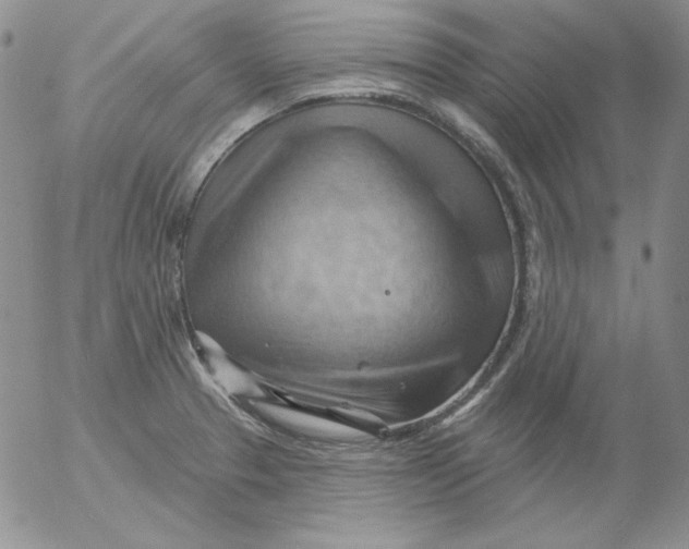 X0000053081329200508011956