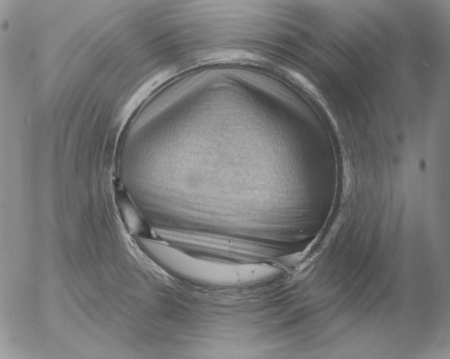 X0000053081330200508011956