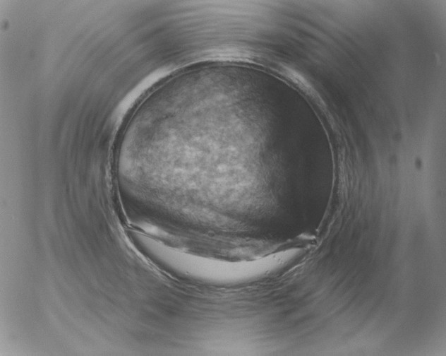 X0000053081331200508011956