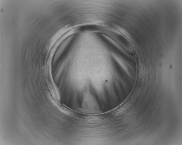 X0000053081332200508011956