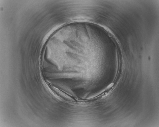 X0000053081333200508011956