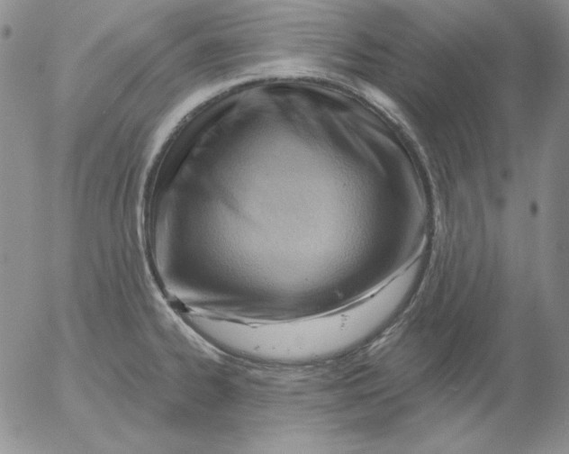 X0000053081334200508011956