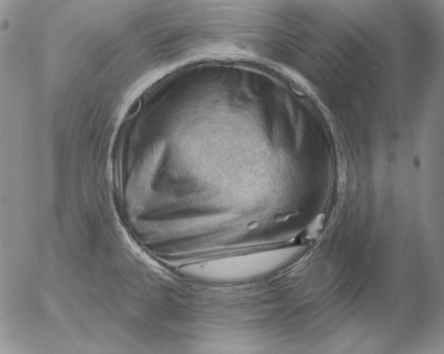 X0000053081335200508011956