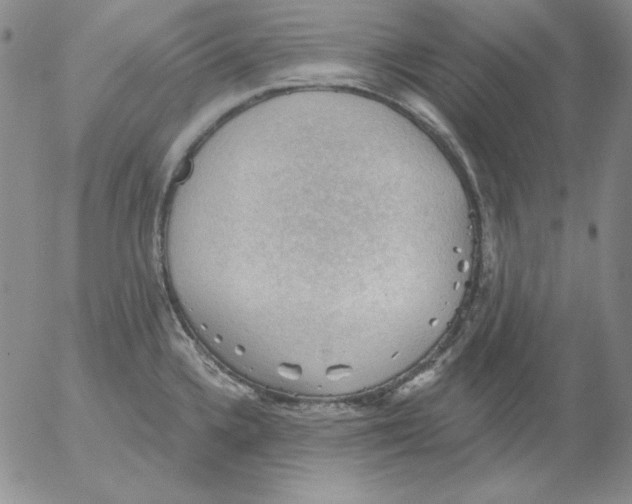 X0000053081336200508011956