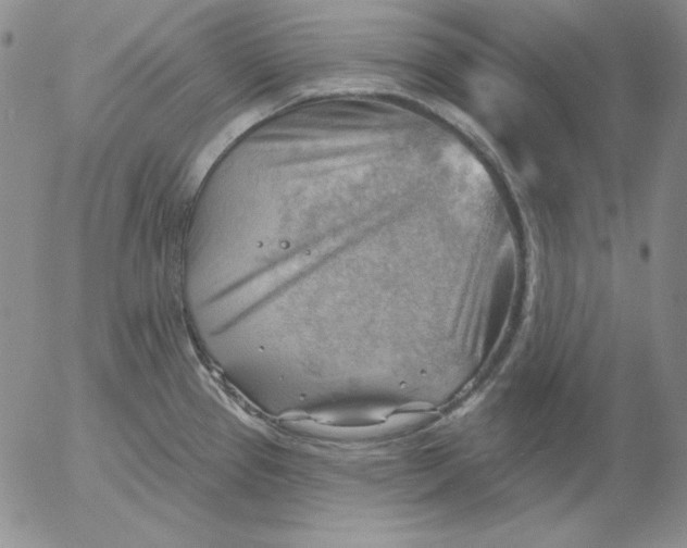 X0000053081337200508011956