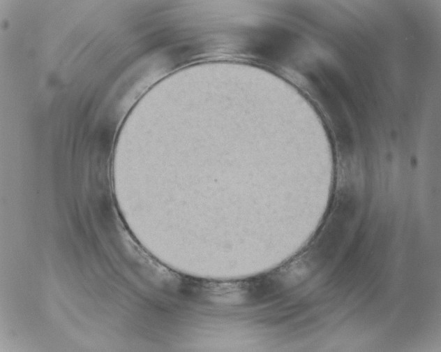 X0000053081338200508011956