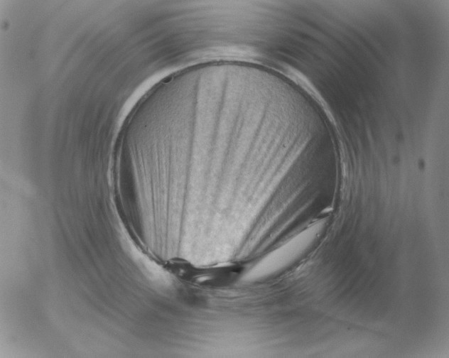 X0000053081339200508011956