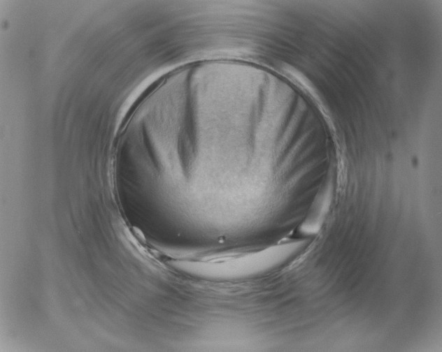 X0000053081340200508011956