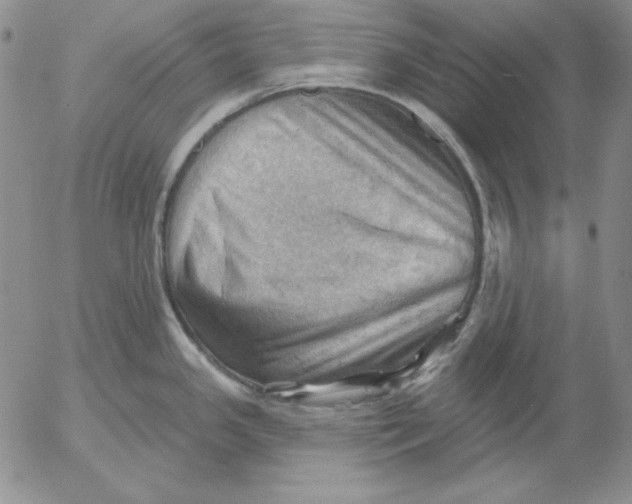 X0000053081341200508011956